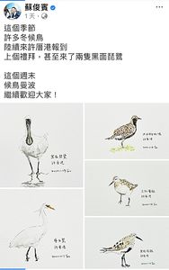 桃園副市長蘇俊賓邀市民守護桃園溼地 參訪許厝港賞過境候鳥