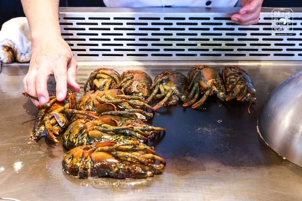 ▲▼陽明山腳下的味覺饗宴，潼鐵板料理帶你走進森林餐廳。（圖／陳小可的吃喝玩樂授權提供）