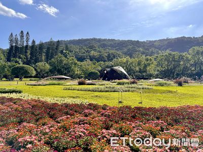 士林官邸菊展11/28登場！夢花園、熱氣球15大展區　手作課免費上