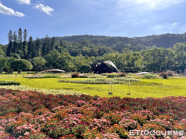 ▲2024士林官邸菊展~菊伴動物派對。（圖／記者彭懷玉攝）