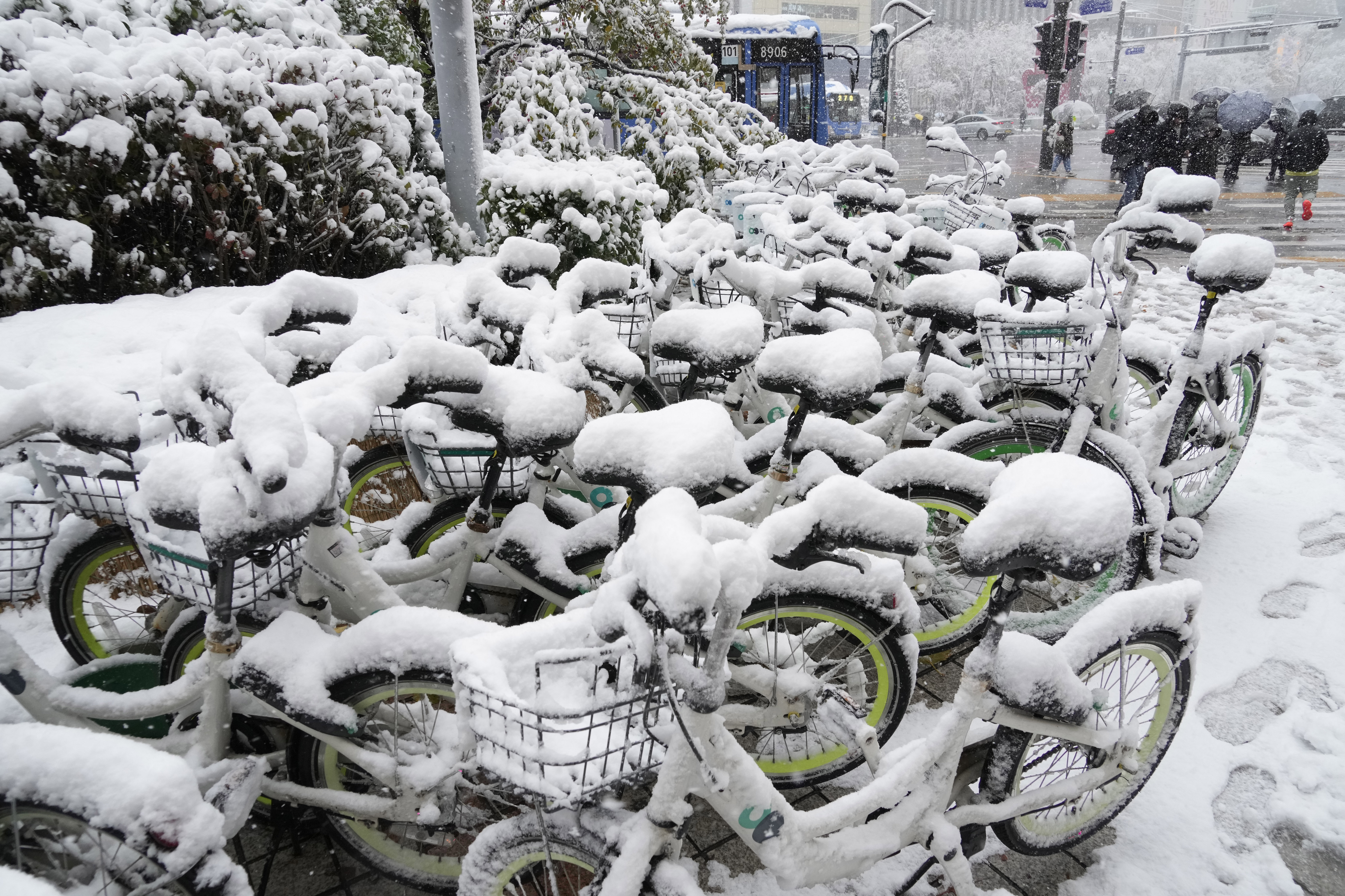 ▲▼南韓首爾連日來降下大雪，公共腳踏車上積滿厚重的白雪。（圖／達志影像／美聯社）