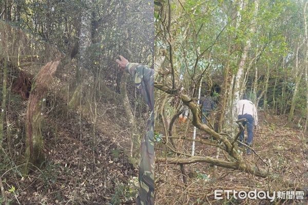 ▲▼             巡山員遭走火的獵槍誤擊身亡。（圖／記者高堂堯翻攝）