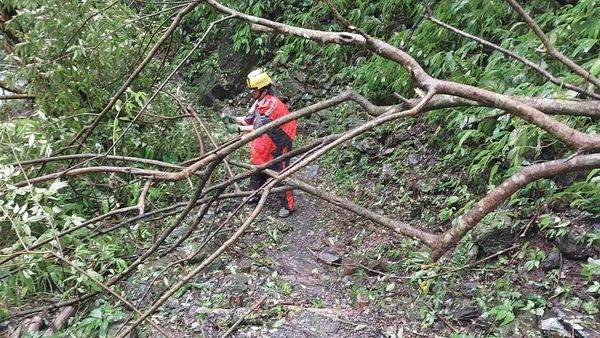 ▲▼聖母登山步道倒木等災情已清除，昨（27）日恢復通行，遊客可安全前往人氣景點的抹茶山。（圖／林業署宜蘭分署提供，下同）