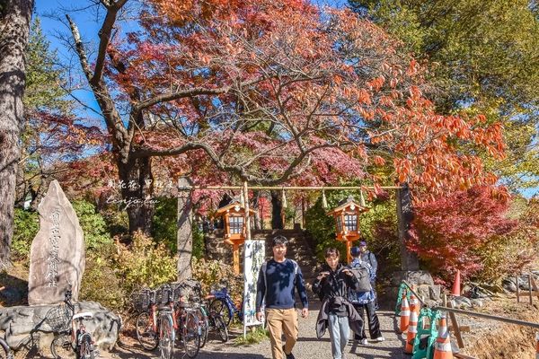 ▲▼爬上398層階梯眺望絕美富士山景！紅葉層層堆疊宛如仙境、超出片。（圖／部落客周花花提供）