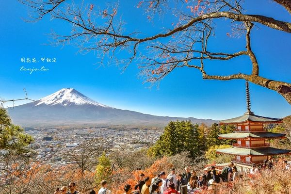 ▲▼爬上398層階梯眺望絕美富士山景！紅葉層層堆疊宛如仙境、超出片。（圖／部落客周花花提供）