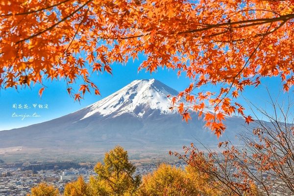 ▲▼爬上398層階梯眺望絕美富士山景！紅葉層層堆疊宛如仙境、超出片。（圖／部落客周花花提供）