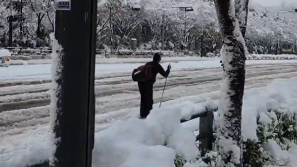 ▲▼南韓暴雪「滑雪上班男」超強身分曝光！　竟是7年國手出身。（圖／翻攝X）