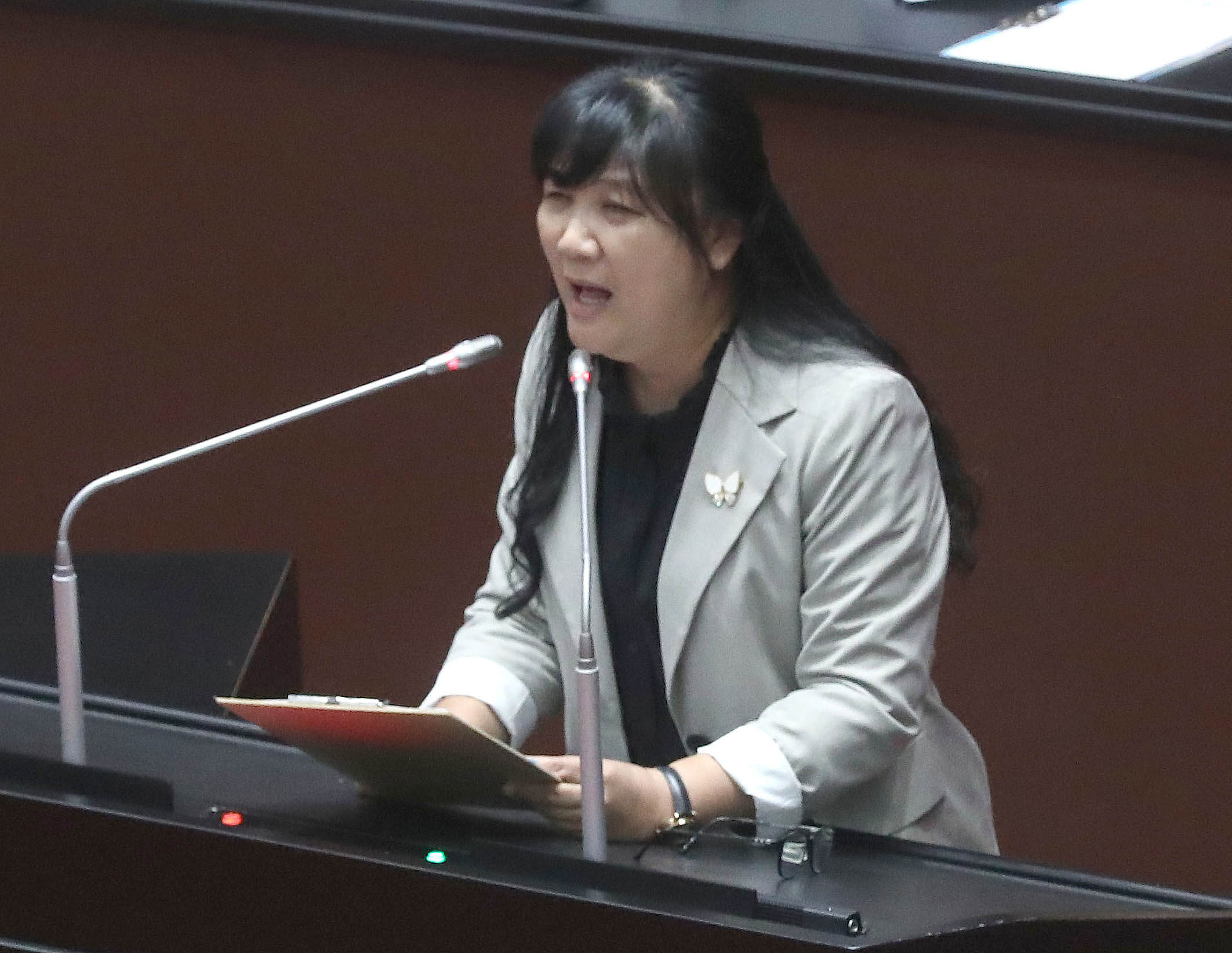 ▲▼伍麗華 原住民族委員會組織法部分條文修正草案 發言 立法院院會。（圖／記者屠惠剛攝）