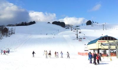 日本5處滑雪秘境　還能體驗狗拉雪橇