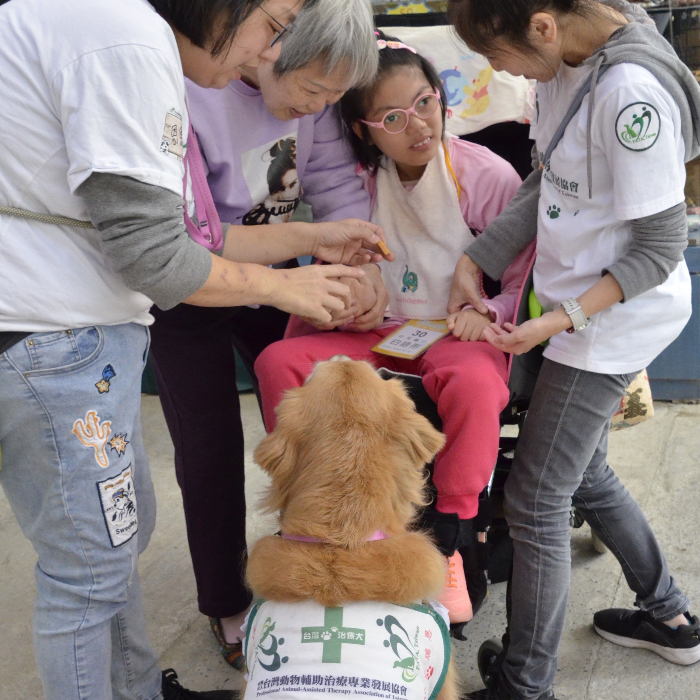 ▲▼新北特教,家庭日,新北巿政府教育局。（圖／新北巿政府教育局提供）