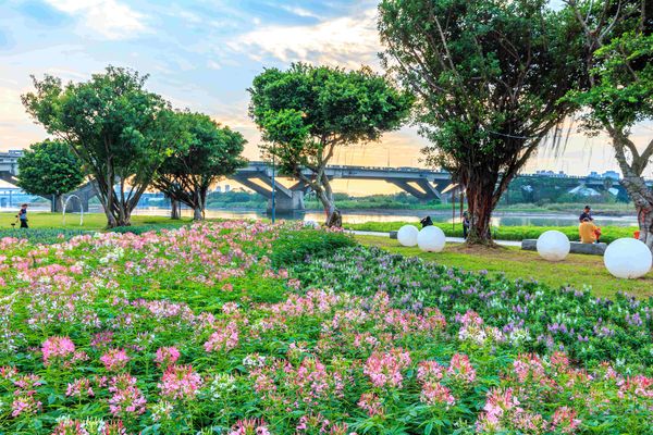 ▲延平河濱「英式庭園」風格的繽紛花海。（圖／北市水利處提供）