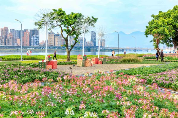 ▲延平河濱「英式庭園」風格的繽紛花海。（圖／北市水利處提供）