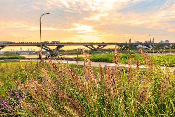 ▲延平河濱「英式庭園」風格的繽紛花海。（圖／北市水利處提供）