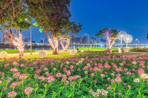 ▲延平河濱「英式庭園」風格的繽紛花海。（圖／北市水利處提供）