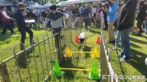 新北毛寶貝耶誕趴登場「素還真與萌犬同台飆戲」　辦寵物卡享好康（圖／新北動保處提供）