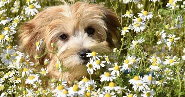 塔羅牌老師艾菲爾分享2024年12星座的12月運勢提醒。（示意圖／pixabay）