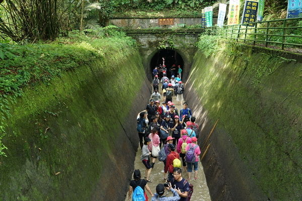 ▲慶桃園大圳通水百週年，大圳隧道健行登場