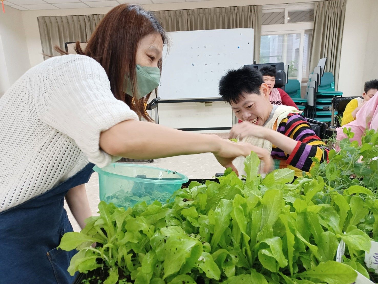 ▲新北八里愛心教養院園藝。（圖／新北市社會局提供）