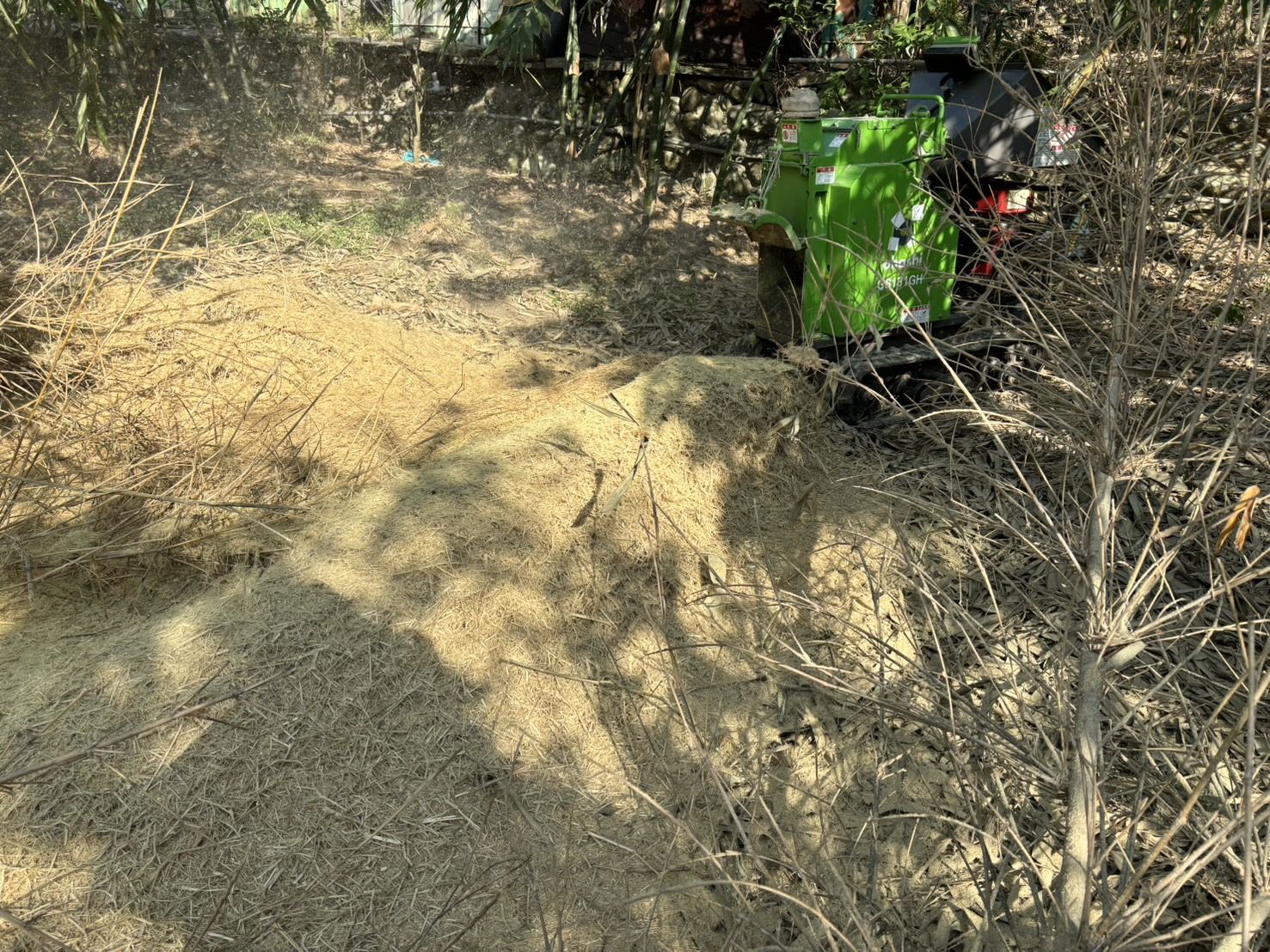 ▲廢棄老竹粉碎再利用 新北綠竹筍永續經營。（圖／新北市農業局提供）