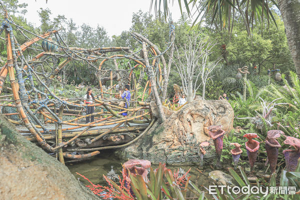 ▲▼美國奧蘭多迪士尼世界動物王國阿凡達園區，動物王國潘朵拉：阿凡達世界園區，阿凡達樂園。（圖／記者蔡玟君攝）