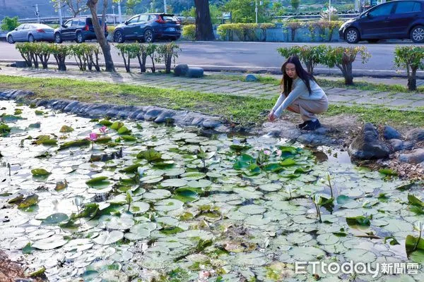 ▲▼蓮花池旁是絕佳的休憩場所，適合全家人一起來走走看看。（圖／富里鄉公所提供，下同）