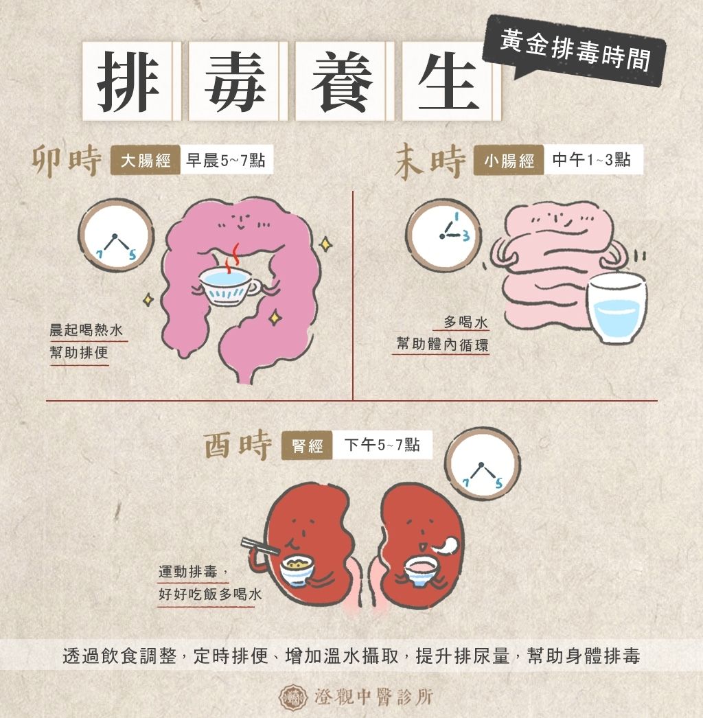 人體「黃金3時段」要喝水！　醫認證：能排出50%毒素。（圖／澄觀中醫診所提供）