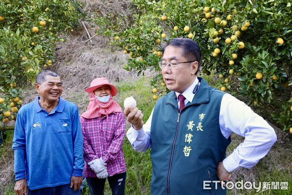 ▲台南市長黃偉哲5日親赴台南東山的柳丁產地，透過東森農場電商購物平台的直播，為台南知名柳丁品種「老欉東坡丁」站台推廣，短短40分鐘內28公噸東坡丁全數售罄。（圖／記者林東良翻攝，下同）