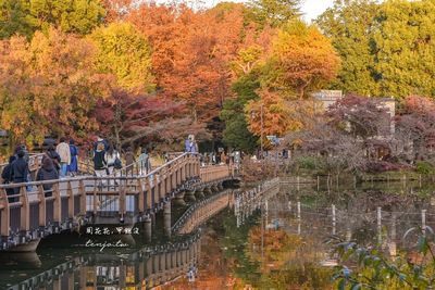 東京「免費賞楓」景點推薦！