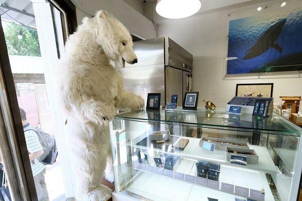 ▲16種超濃郁巧克力布朗尼，甜點控的最愛在這。（圖／捲捲頭品味生活提供）