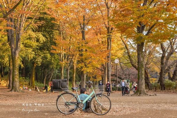 ▲▼東京免費賞紅葉景點！楓葉樹下野餐超浪漫　畫面美得像幅油畫。（圖／部落客周花花提供）