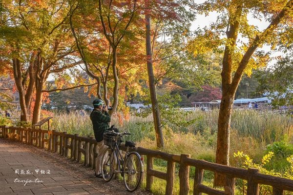 ▲▼東京免費賞紅葉景點！楓葉樹下野餐超浪漫　畫面美得像幅油畫。（圖／部落客周花花提供）