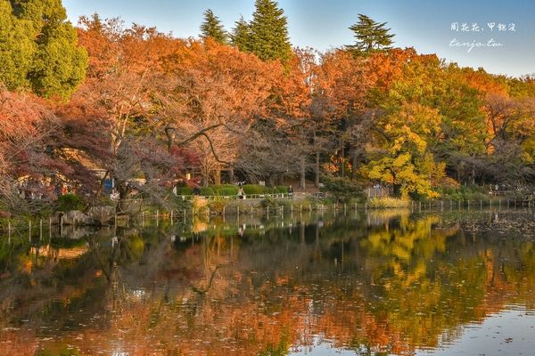 ▲▼東京免費賞紅葉景點！楓葉樹下野餐超浪漫　畫面美得像幅油畫。（圖／部落客周花花提供）