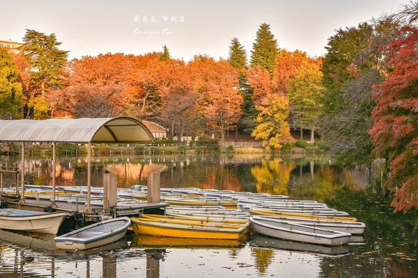 ▲▼東京免費賞紅葉景點！楓葉樹下野餐超浪漫　畫面美得像幅油畫。（圖／部落客周花花提供）