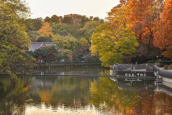 ▲▼東京免費賞紅葉景點！楓葉樹下野餐超浪漫　畫面美得像幅油畫。（圖／部落客周花花提供）