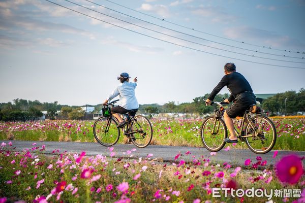 ▲▼   2024嘉義花海生活節花卉綻放七成 歡迎週末攜家帶眷同遊  。（圖／嘉義市政府提供）