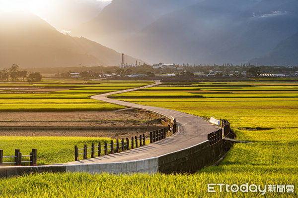 ▲▼「徐行縱谷」整合三條自行車多元路線，藉由在地特色、生態旅遊、綠色旅遊及跨域合作，為旅客展現花東縱谷的自然風光。（圖／縱管處提供，下同）