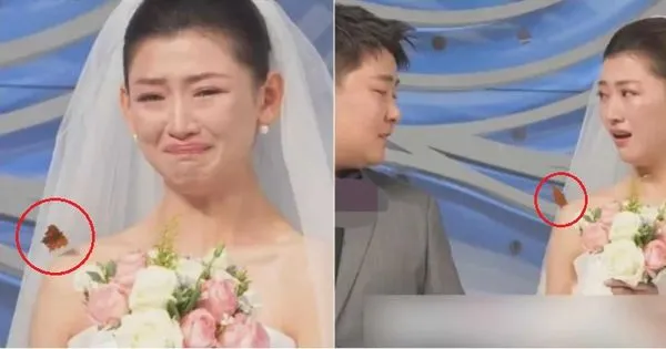 ▲▼             。（圖／）