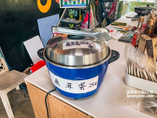 ▲第一次抱鹿就上癮，療癒小梅花鹿萌翻全場。（圖／小兔小安*旅遊札記提供）