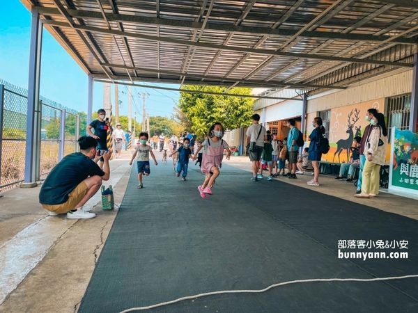 ▲第一次抱鹿就上癮，療癒小梅花鹿萌翻全場。（圖／小兔小安*旅遊札記提供）