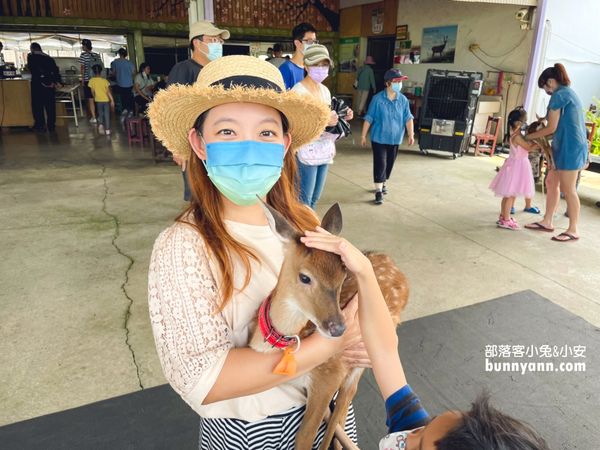 ▲第一次抱鹿就上癮，療癒小梅花鹿萌翻全場。（圖／小兔小安*旅遊札記提供）