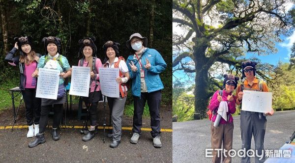 ▲玉山國家公園內的樹木隨處可見水鹿啃磨痕、台灣黑熊嗅聞樹幹的身影。（圖／記者高堂堯攝、玉山國家公園管理處提供）