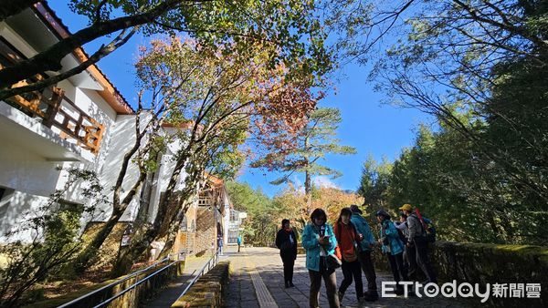 ▲玉山塔塔加遊客中心楓紅景像美不勝收。（圖／記者高堂堯攝）