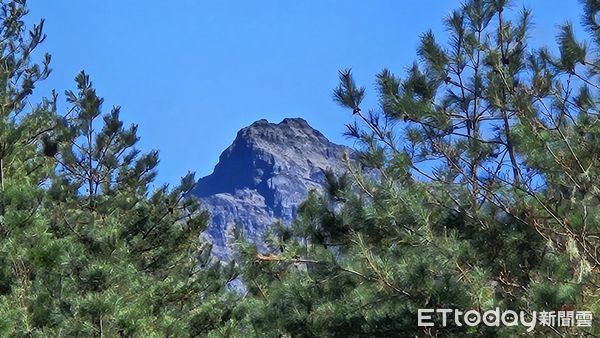 ▲玉山塔塔加遊客中心楓紅景像美不勝收。（圖／記者高堂堯攝）