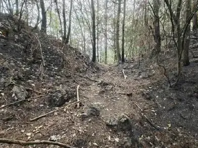 ▲▼大媽為撿寶特瓶，放火燒山。（圖／翻攝自微博）