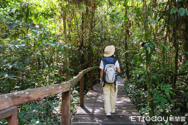 ▲姆魯國家公園,Gunung Mulu National Park,鹿洞,藍洞,石灰岩洞,姆魯萬豪酒店。（圖／記者彭懷玉攝）