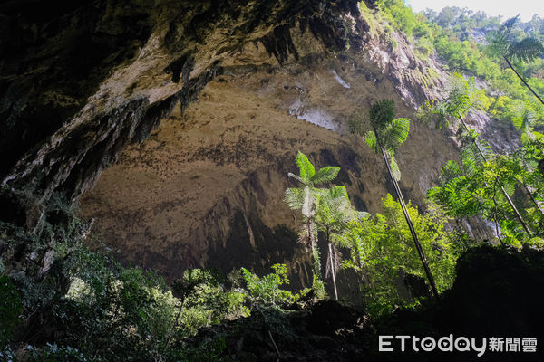 ▲姆魯國家公園,Gunung Mulu National Park,鹿洞,藍洞,石灰岩洞,姆魯萬豪酒店。（圖／記者彭懷玉攝）