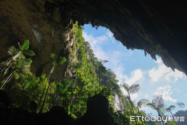 ▲姆魯國家公園,Gunung Mulu National Park,鹿洞,藍洞,石灰岩洞,姆魯萬豪酒店。（圖／記者彭懷玉攝）