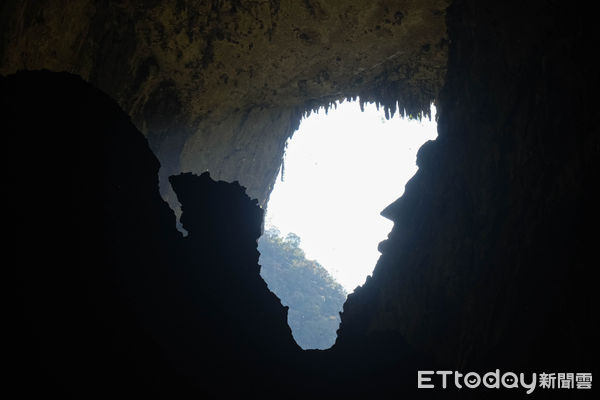 ▲姆魯國家公園,Gunung Mulu National Park,鹿洞,馬來西亞旅遊。（圖／記者彭懷玉攝）