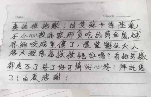 ▲彰化動防所公告飼主盡快將小象龜領回。（圖／翻攝自彰化動物防疫所）