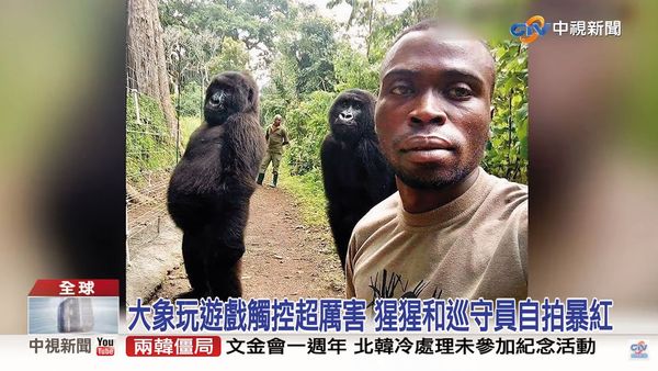 【彭愛佳跋扈霸凌3】主管穿綠色外套也不行　彭愛佳性別種族歧視黑歷史曝光